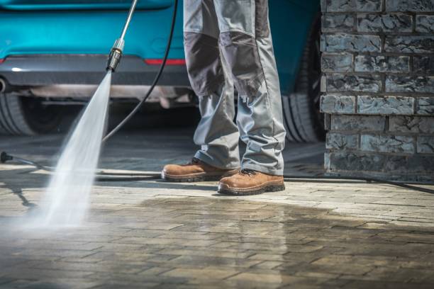 Best Winterizing Services  in Scobey, MT