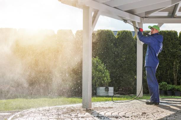 Best Sidewalk and Walkway Cleaning  in Scobey, MT